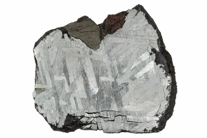 Etched Toluca Iron Meteorite ( g) Slice - Mexico #333191